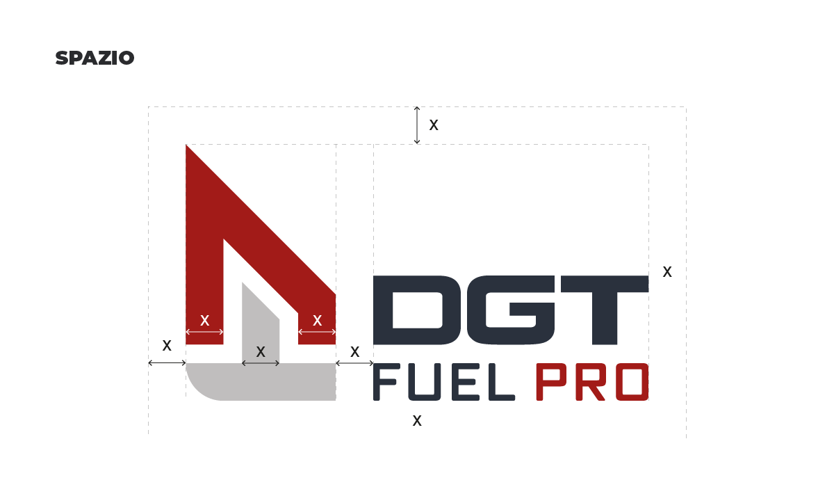 dgt-fuel-pro-spazio